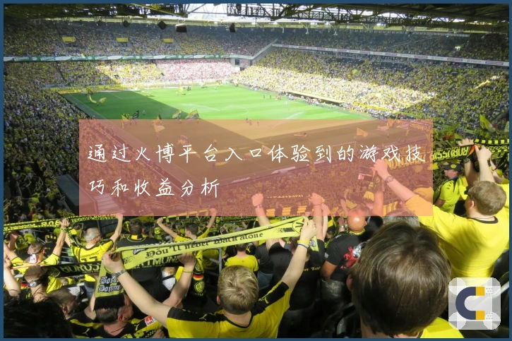 通过火博平台入口体验到的游戏技巧和收益分析