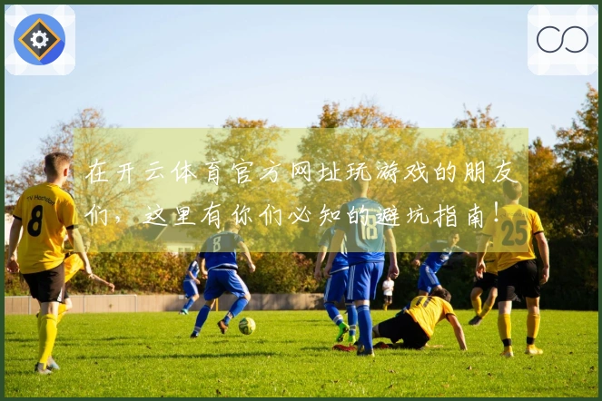 在开云体育官方网址玩游戏的朋友们，这里有你们必知的避坑指南！