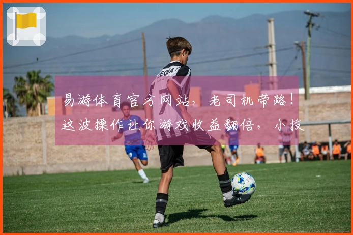 易游体育官方网站，老司机带路！这波操作让你游戏收益翻倍，小技巧赶紧码住！